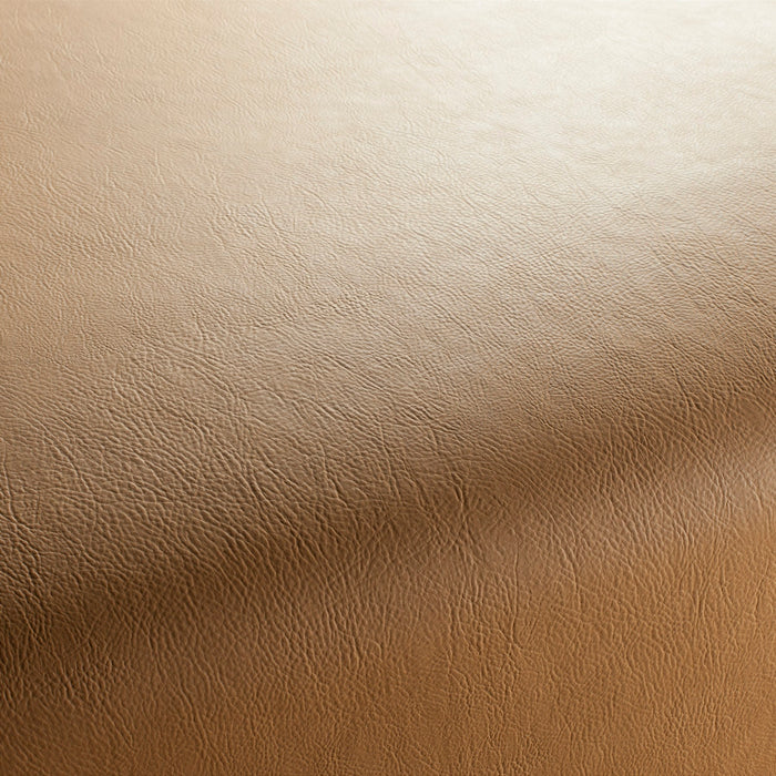 Jab Anstoetz Gaucho Vol. 2 379 Fabric 1-1311-379