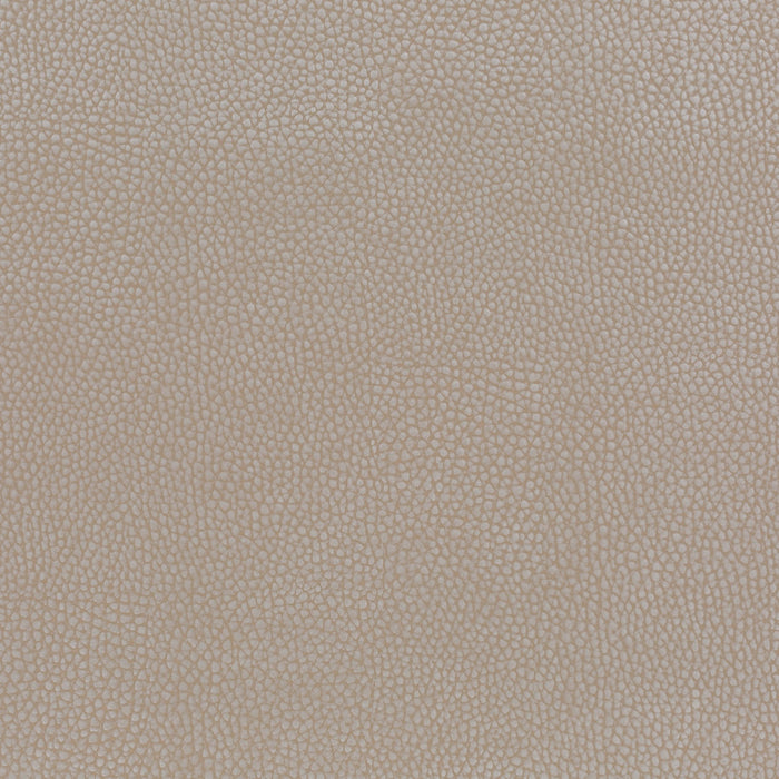 Jab Anstoetz Flash By 071 Fabric Sample 1-1360-071