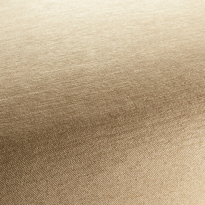 Jab Anstoetz Unito Vol. 2 073 Fabric 1-1384-073