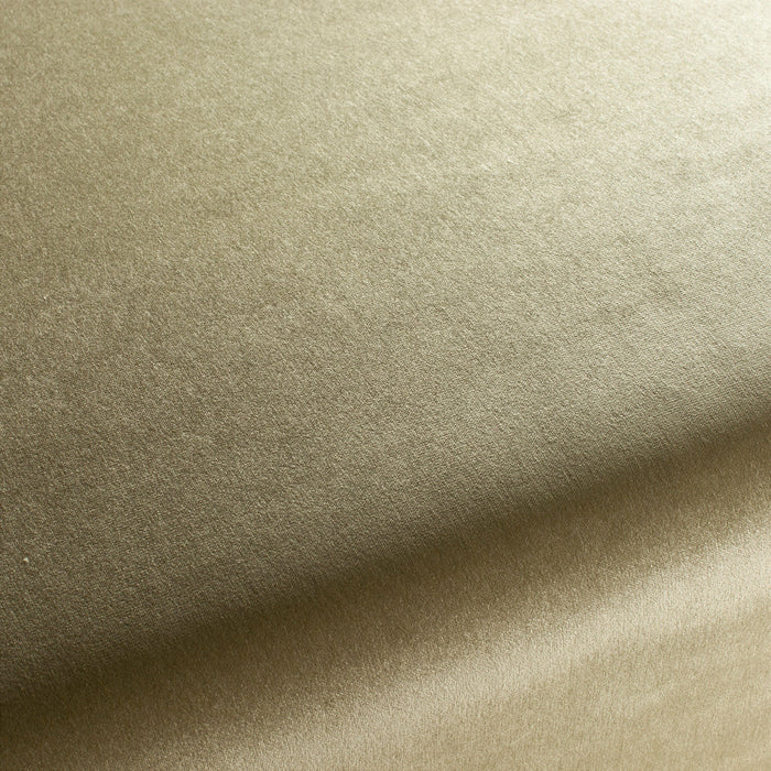 Jab Anstoetz Lounge Velvet Cs 134 Fabric Sample 1-3064-134