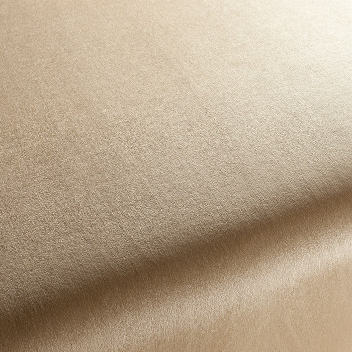 Jab Anstoetz Lounge Velvet Cs 571 Fabric 1-3064-571