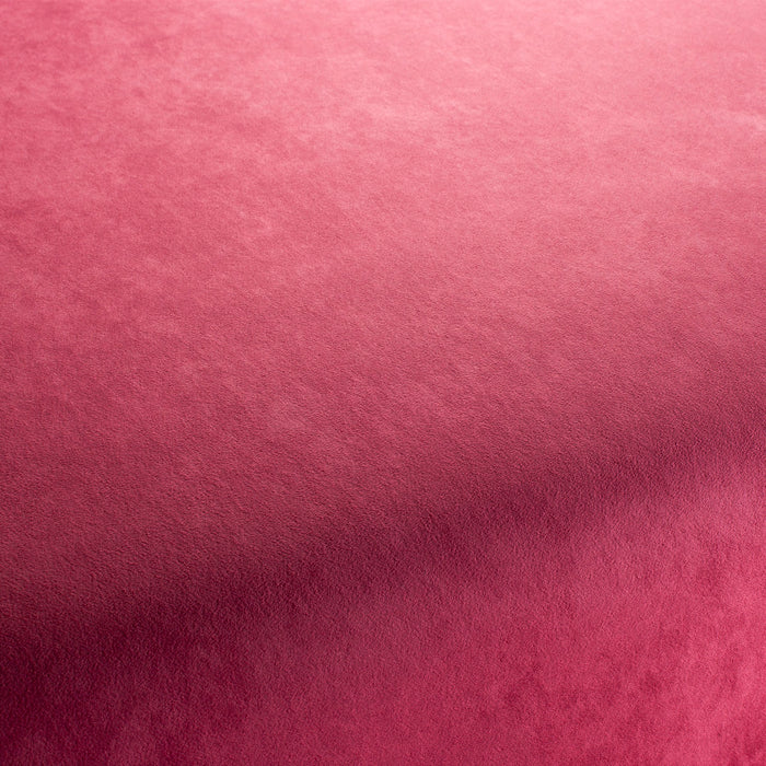 Jab Anstoetz Style 064 Fabric 1-3107-064