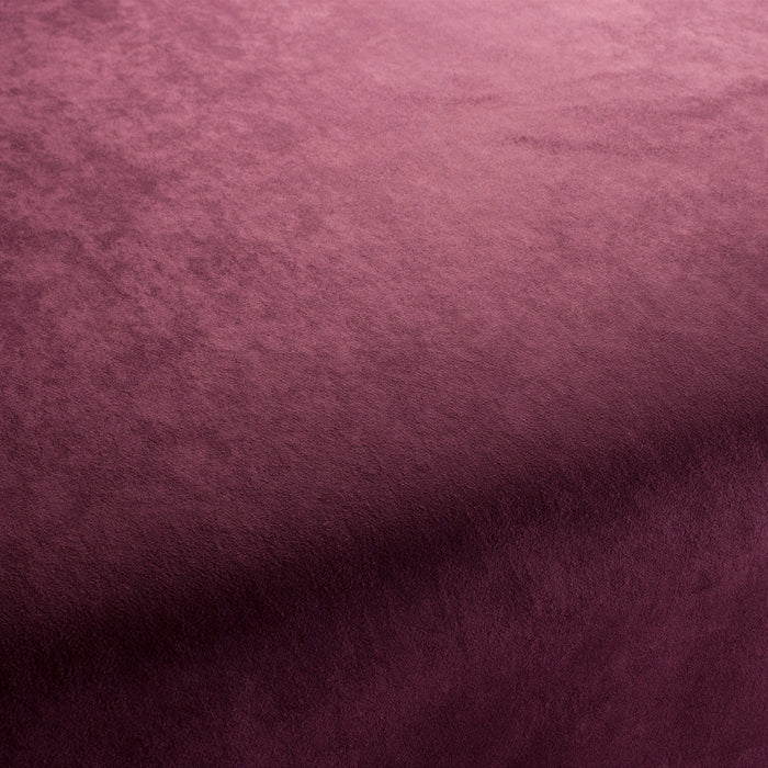 Jab Anstoetz Style 081 Fabric 1-3107-081