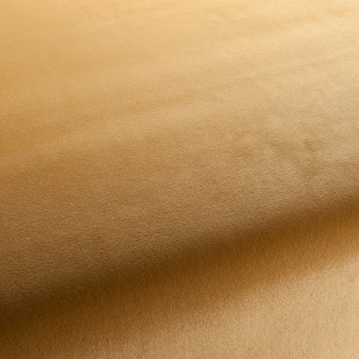 Jab Anstoetz Velluto 041 Fabric 1-3120-041