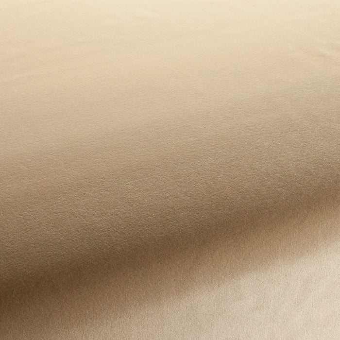 Jab Anstoetz Velluto 042 Fabric Sample 1-3120-042