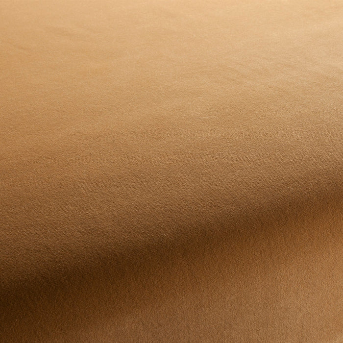 Jab Anstoetz Velluto 045 Fabric 1-3120-045
