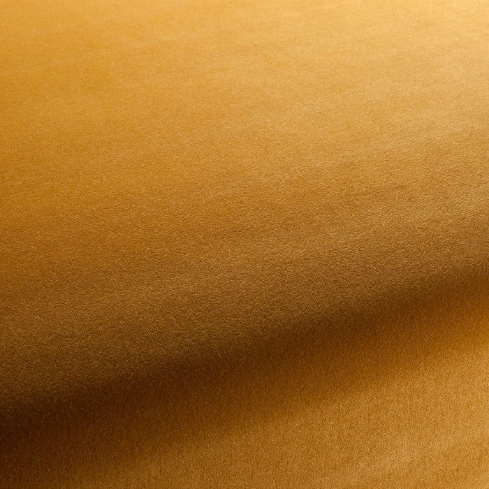 Jab Anstoetz Velluto 046 Fabric Sample 1-3120-046