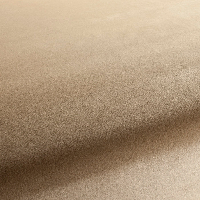 Jab Anstoetz Velluto 047 Fabric Sample 1-3120-047