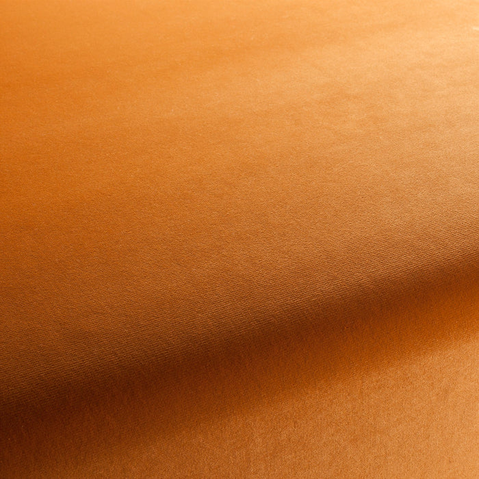 Jab Anstoetz Velluto 061 Fabric 1-3120-061