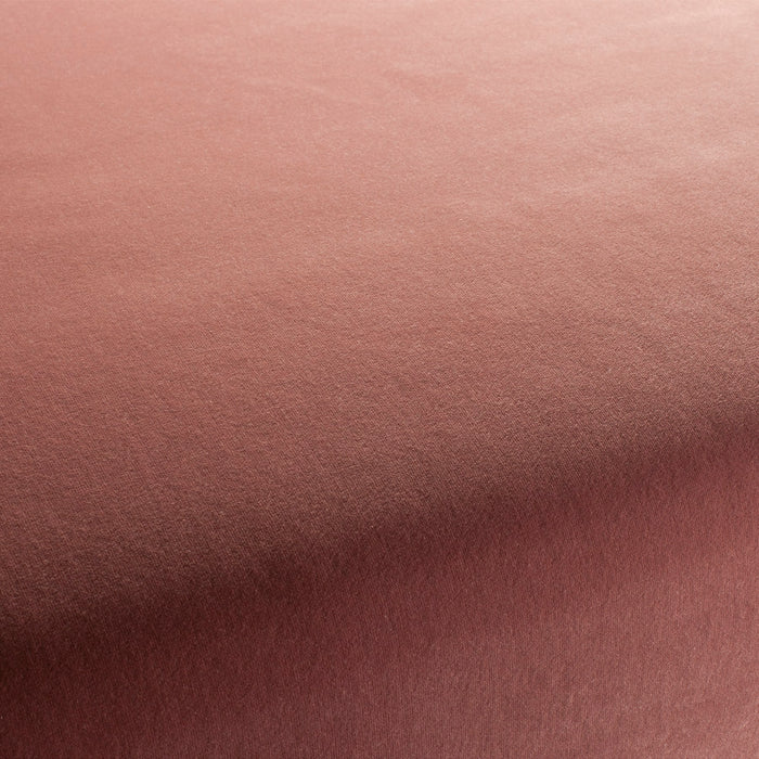 Jab Anstoetz Velluto 068 Fabric Sample 1-3120-068