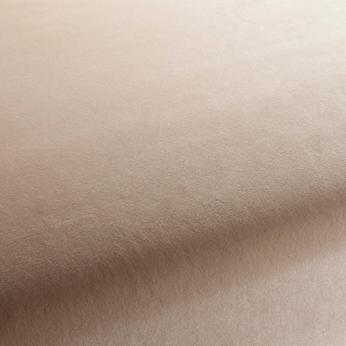 Jab Anstoetz Velluto 075 Fabric 1-3120-075