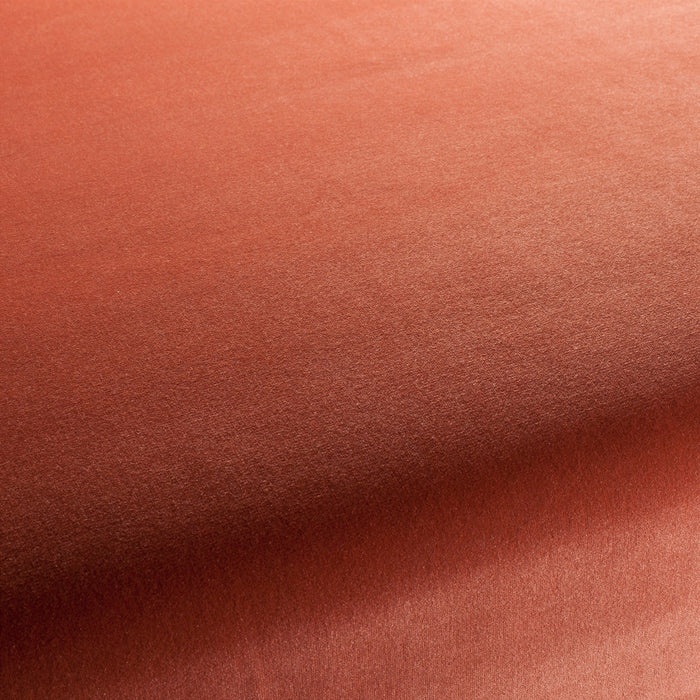 Jab Anstoetz Velluto 160 Fabric 1-3120-160