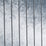 Jab Anstoetz Brillante 080 Fabric 1-4174-080