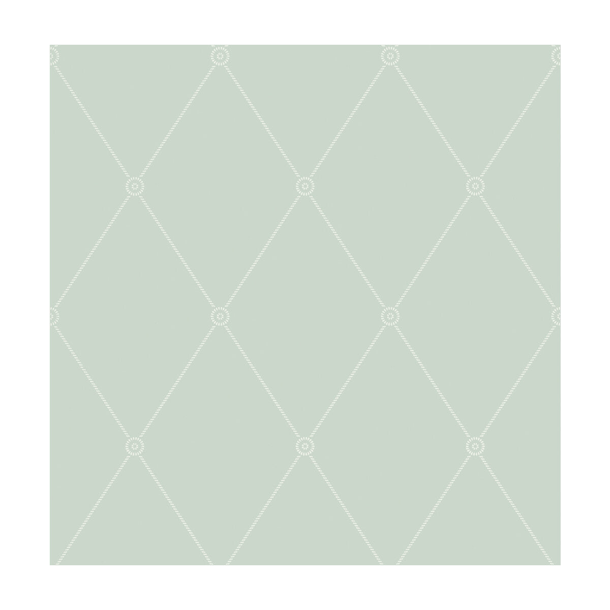 Cole & Son Large Georgian Rope Trellis Duck Egg Wallpaper Sample 100/13066.CS.0