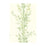Cole & Son Bamboo Green Wallpaper Sample 100/5023.CS.0