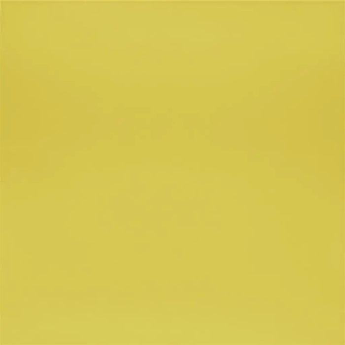 Designers Guild Calozzo Stretto 12 Sample Sample FDG2839-12