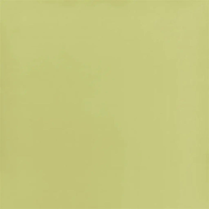 Designers Guild Calozzo Stretto 14 Sample Sample FDG2839-14