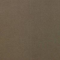 Nobilis Galuchat 5 Fabric 10404.05