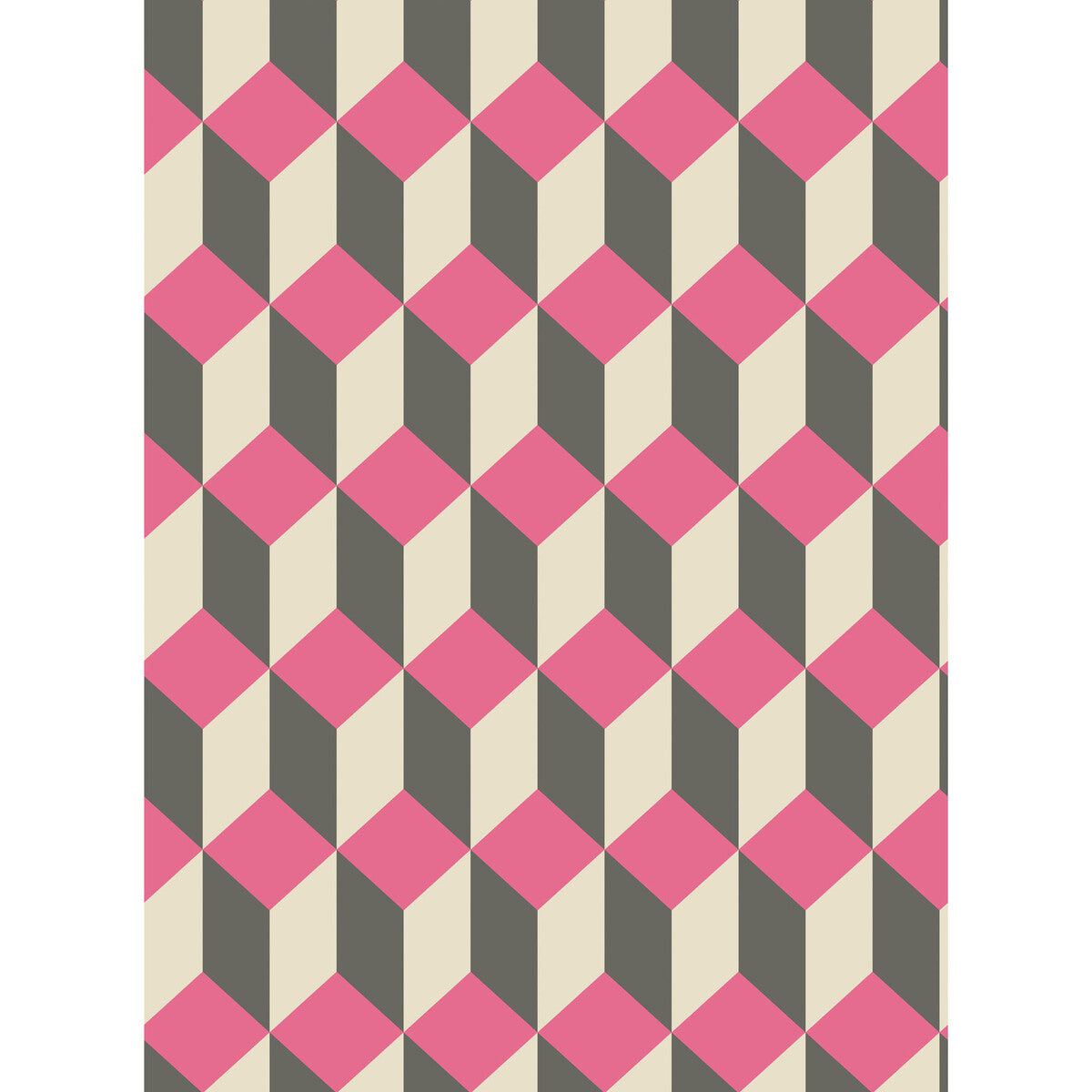 Cole & Son Delano Pink And Black Wallpaper Sample 105/7033.CS.0