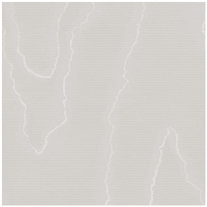 Cole & Son Watered Silk Grey Wallpaper Sample 106/1003.CS.0