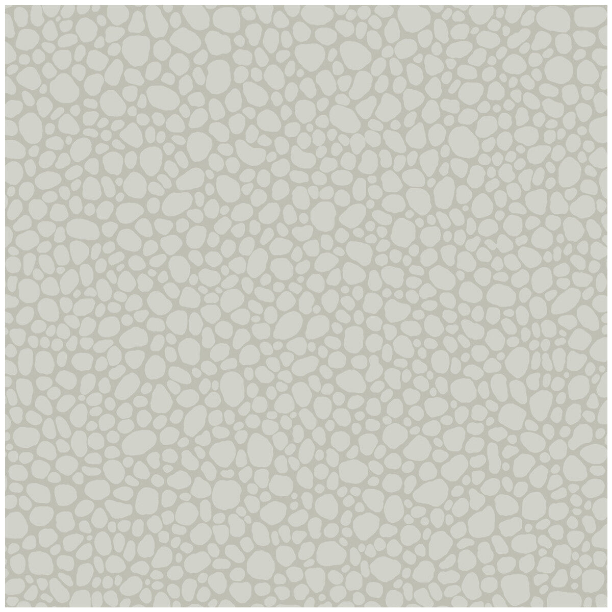 Cole & Son Pebble Pale Grey Wallpaper Sample 106/2017.CS.0