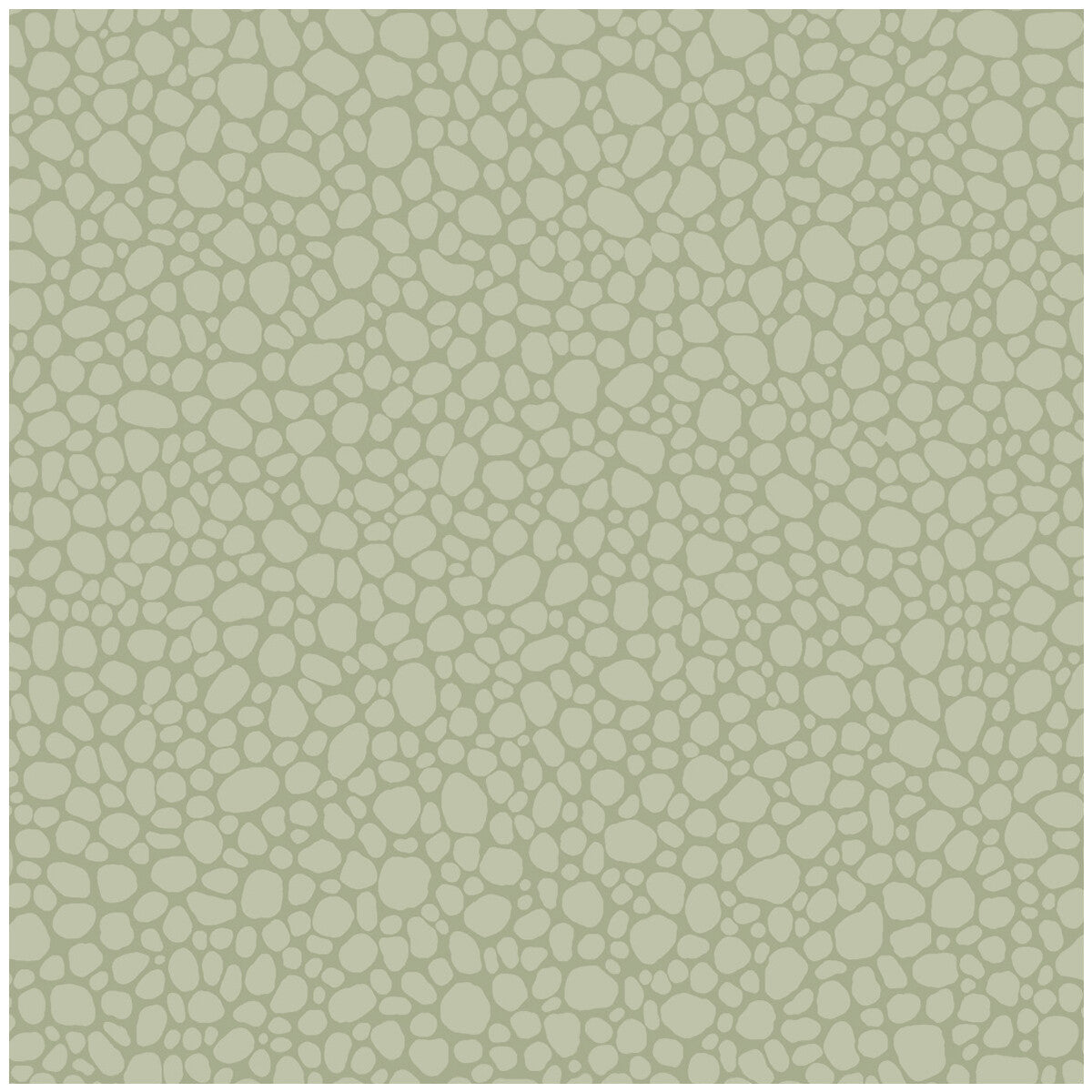 Cole & Son Pebble Sage Wallpaper Sample 106/2027.CS.0