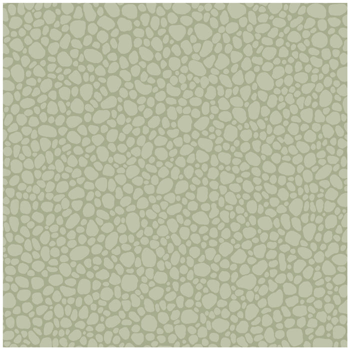 Cole & Son Pebble Sage Wallpaper Sample 106/2027.CS.0