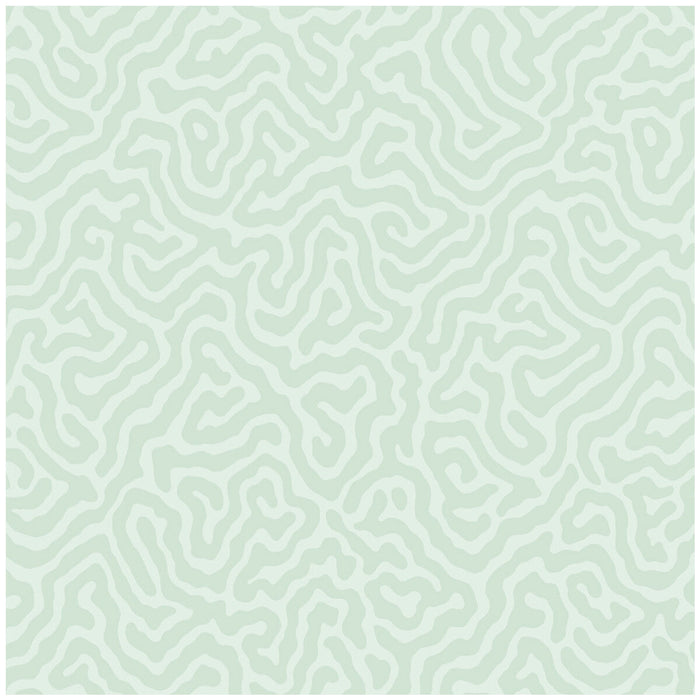 Cole & Son Coral Duck Egg Wallpaper Sample 106/5065.CS.0
