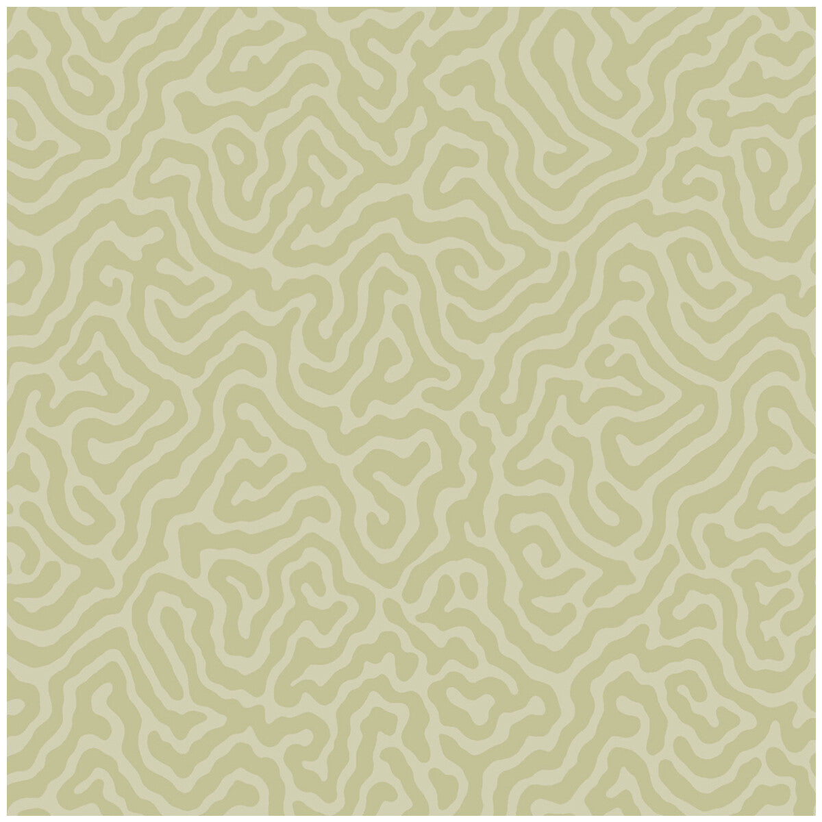 Cole & Son Coral Old Olive Wallpaper Sample 106/5067.CS.0