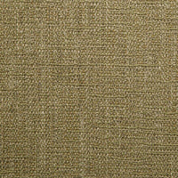 Calvin Belize (ls) Tree Frog Fabric 10786