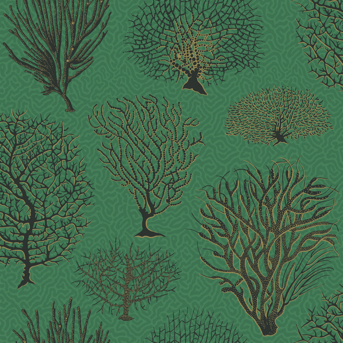 Cole & Son Seafern Emerald Wallpaper Sample 107/2007.CS.0