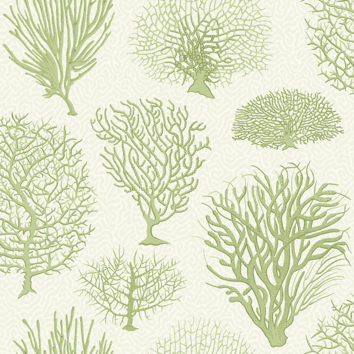 Cole & Son Seafern Soft Green Wallpaper Sample 107/2008.CS.0