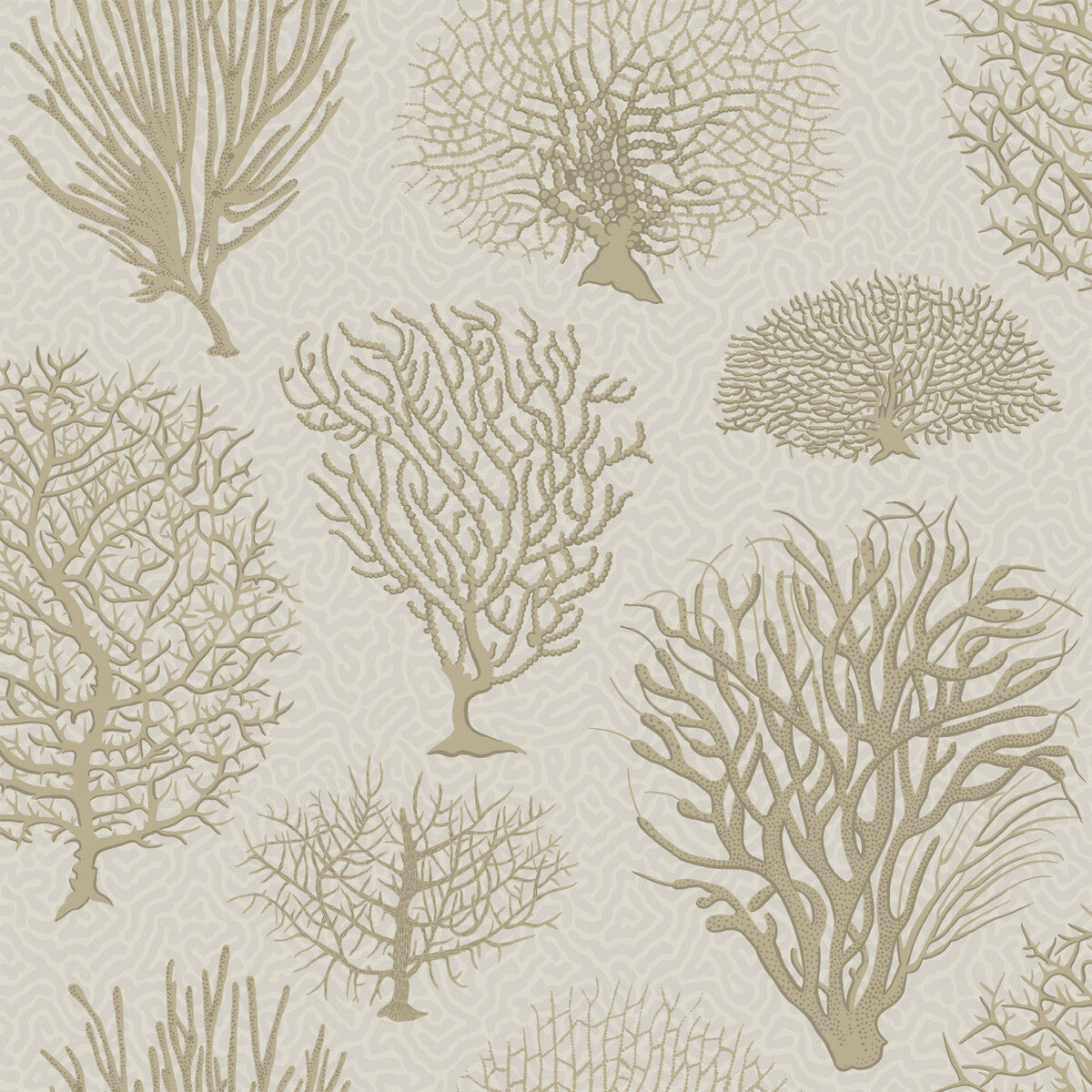 Cole & Son Seafern Stone Wallpaper Sample 107/2010.CS.0