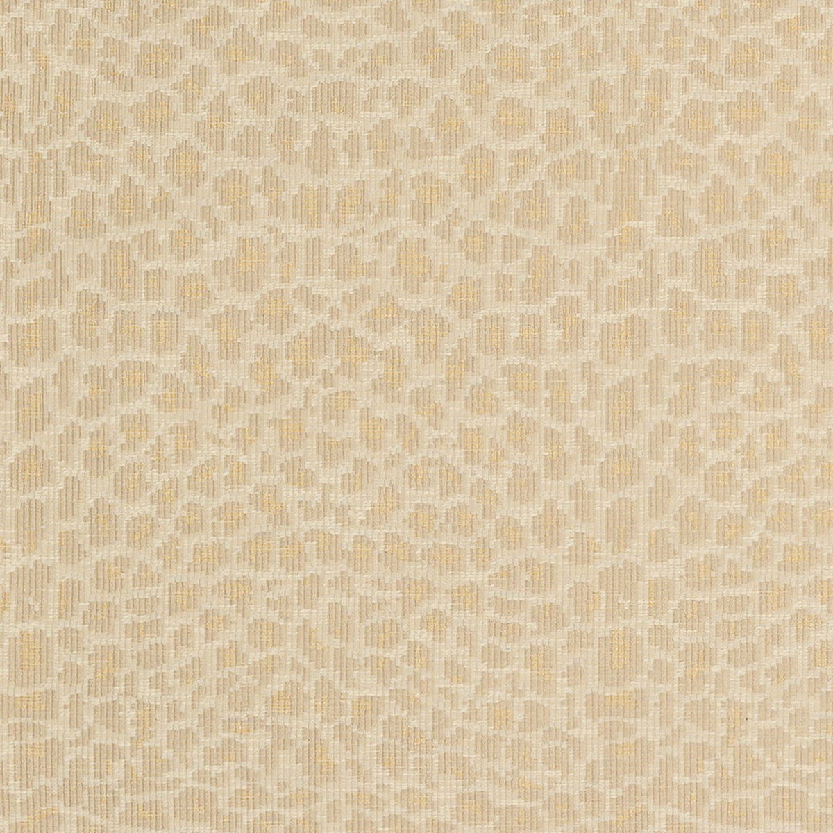 Nobilis Fauve 06 Fabric Sample 10945.06