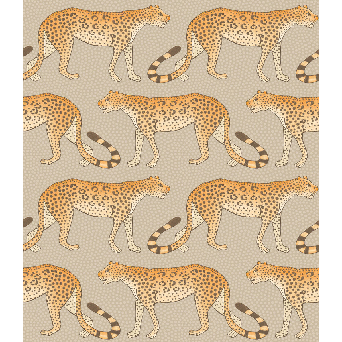 Cole & Son Leopard Walk Stone & Orange Wallpaper Sample 109/2010.CS.0
