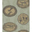 Cole & Son Matrinah Old Olive Wallpaper Sample 109/4021.CS.0