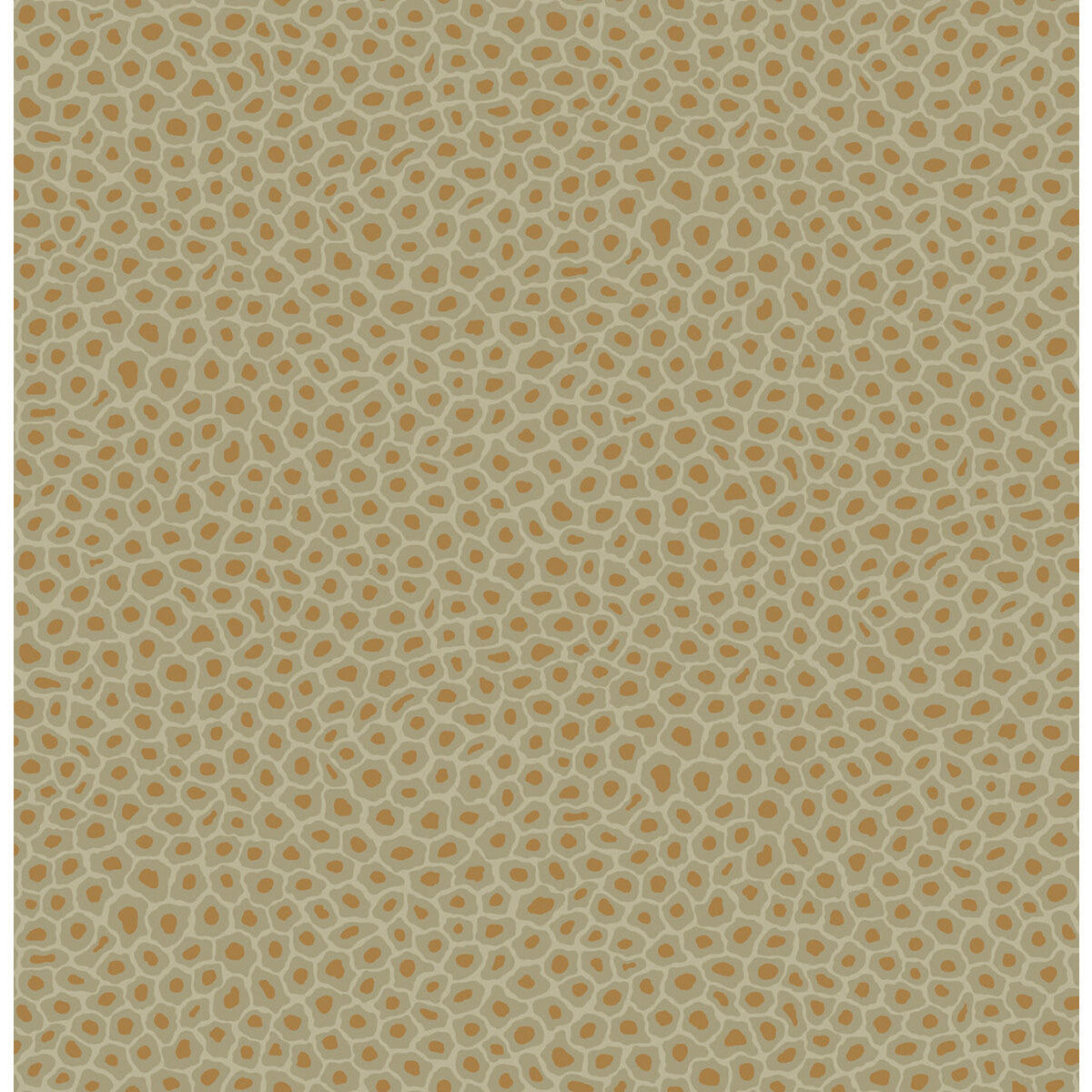 Cole & Son Senzo Spot Olive Wallpaper Sample 109/6029.CS.0