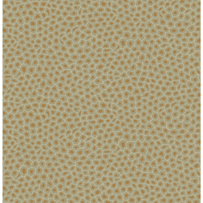 Cole & Son Senzo Spot Olive Wallpaper Sample 109/6029.CS.0