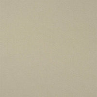 Designers Guild Santiago Driftwood Fabric F1650-06