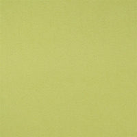 Designers Guild Santiago Pistachio Fabric F1650-22