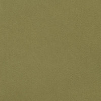 Designers Guild Santiago Fern Fabric F1650-25