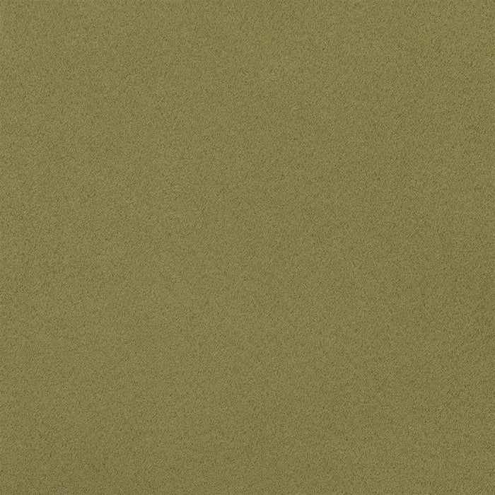 Designers Guild Santiago Fern Fabric F1650-25
