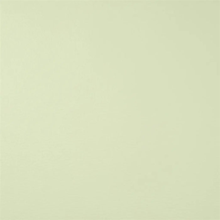 Designers Guild Jurena 2 Sample Sample F1676-02