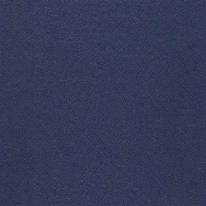 Designers Guild Poiziere 4 Sample Sample F1906-04