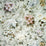 Designers Guild Carrara Fiore Grande 1 Sample Sample FDG2907-01