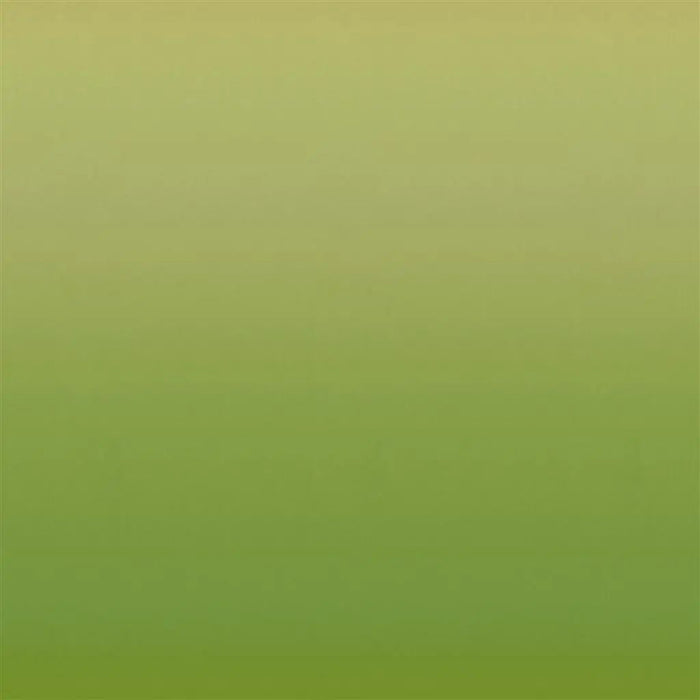 Designers Guild Bellavista Ombre 6 Sample Sample FDG2866-06