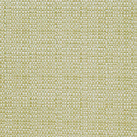 Calvin Kapa (ls) Kiwi Fabric 11480