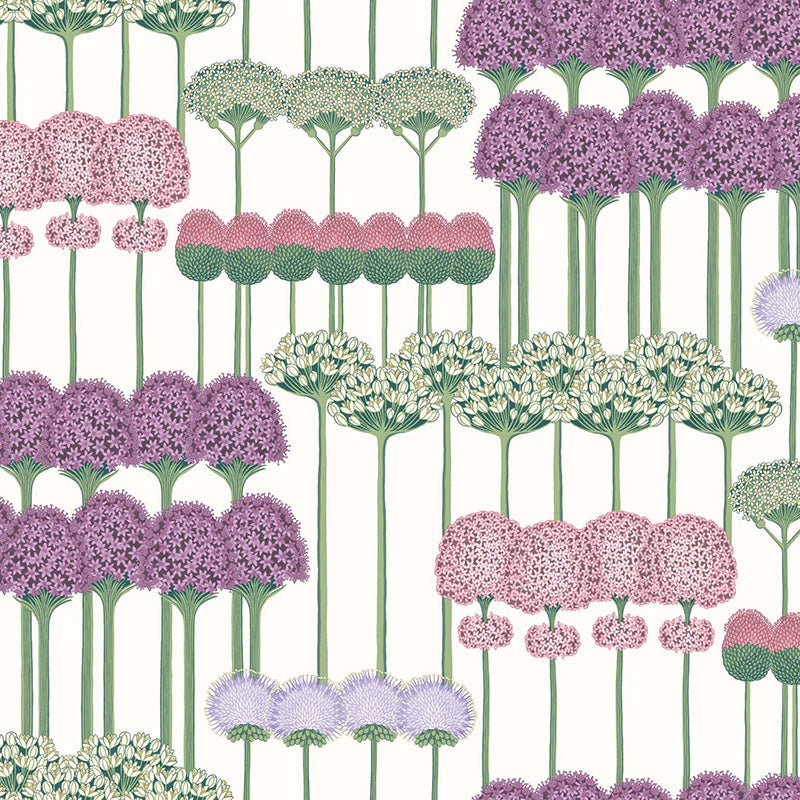 Cole & Son Allium Mulb/Blush/Lilac/Wh Wallpaper Sample 115/12034.CS.0