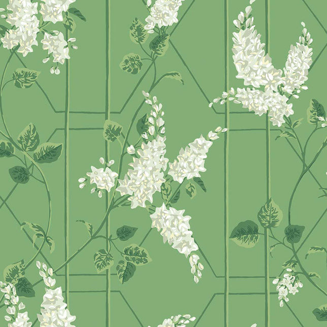 Cole & Son Wisteria Sage/Leaf Green 115/5016.CS.0 Sample | 40% Off ...
