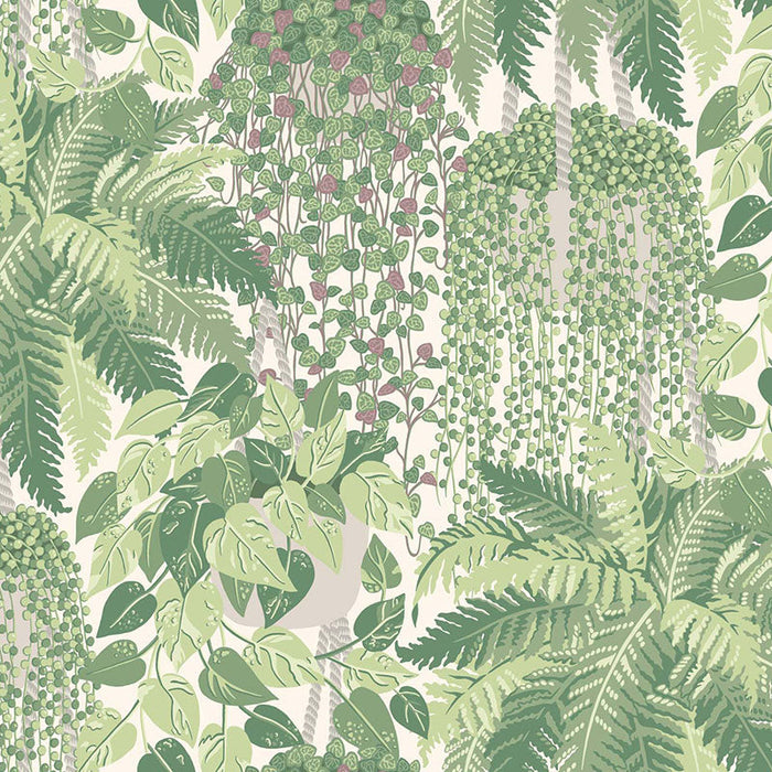 Cole & Son Fern Leaf Green And Olive Wallpaper Sample 115/7021.CS.0